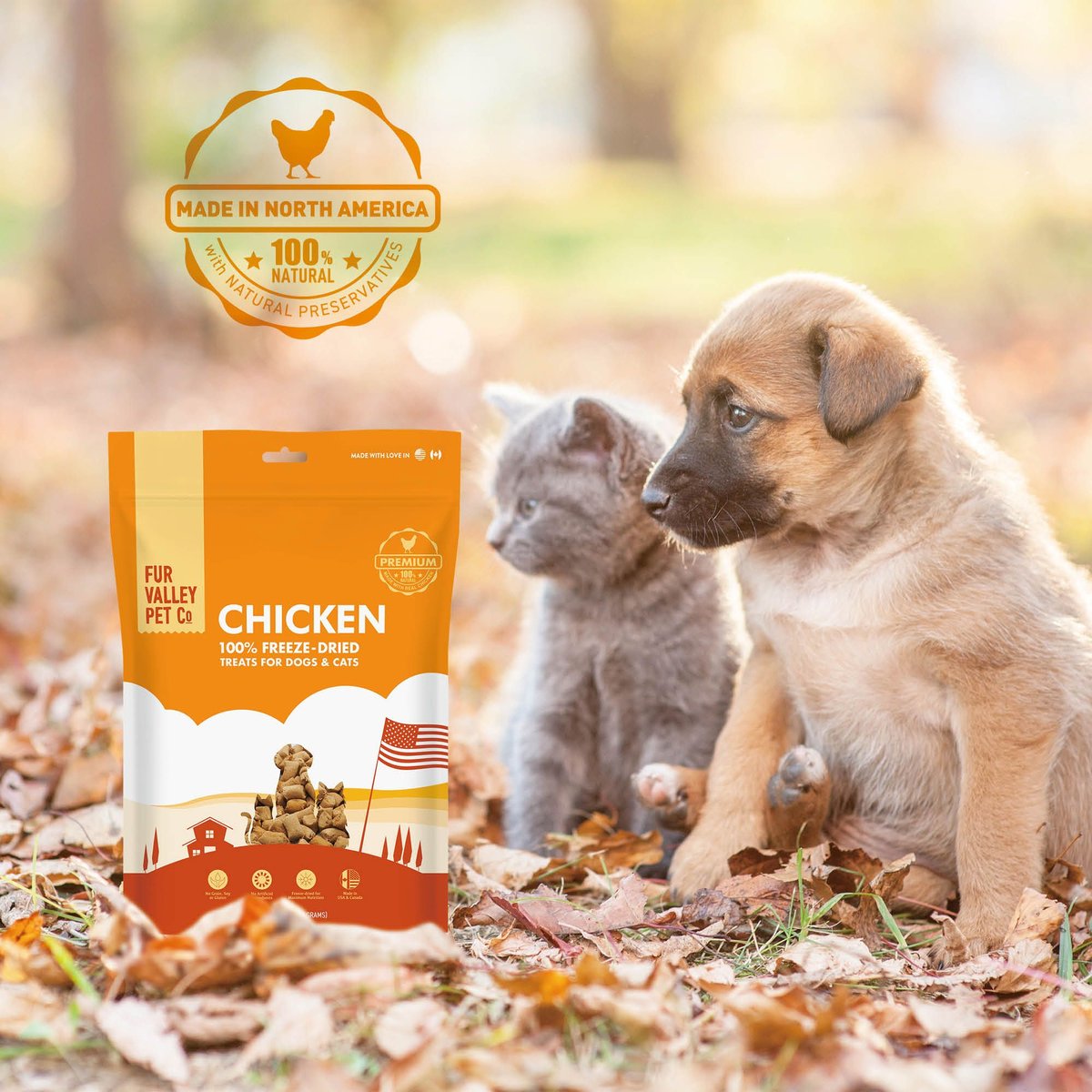 Fur Valley Chicken Freeze-Dried Dog & Cat Treats, 12-oz bag