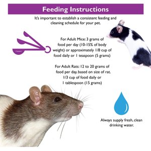 Brown's Tropical Carnival Gourmet Mouse & Rat Food, 2-lb bag