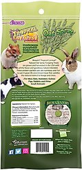 Brown's Tropical Carnival Oat Spray Small Animal Treats, 1.5-oz bag slide 2 of 5