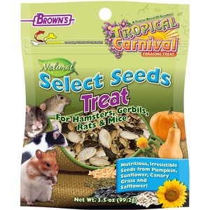 Brown's Tropical Carnival Natural Select Seeds Small Animal Treats, 3.5-oz bag