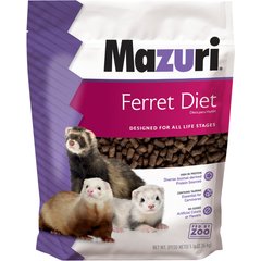 Feeding ferrets 2024