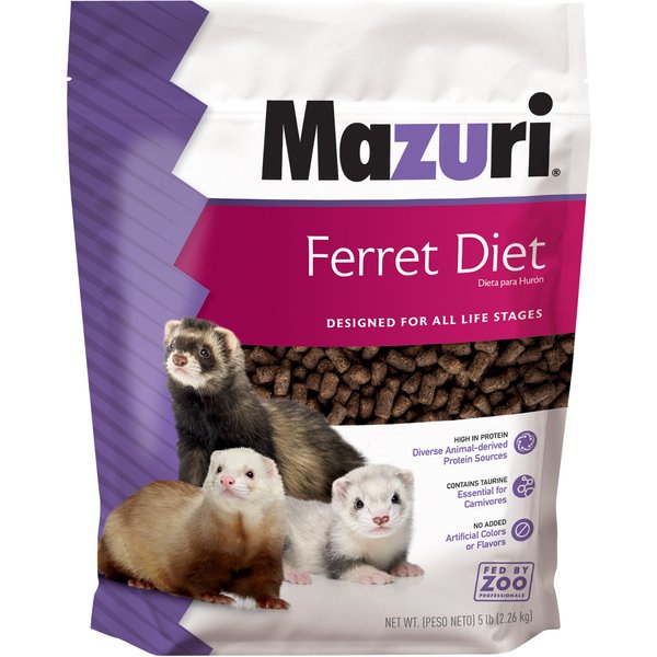 Senior ferret outlet food