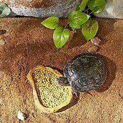 Mazuri Aquatic Turtle Food, 12-oz bag slide 2 of 7