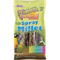 Brown's Tropical Carnival Natural Spray Millet Bird Treats, 7 count