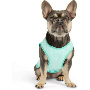 GF Pet Elastofit Dog Ice Vest, Aqua