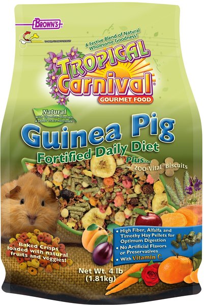 Brown's Tropical Carnival Fortified Daily Diet Natural Guinea Pig Food, 4-lb bag slide 1 of 7