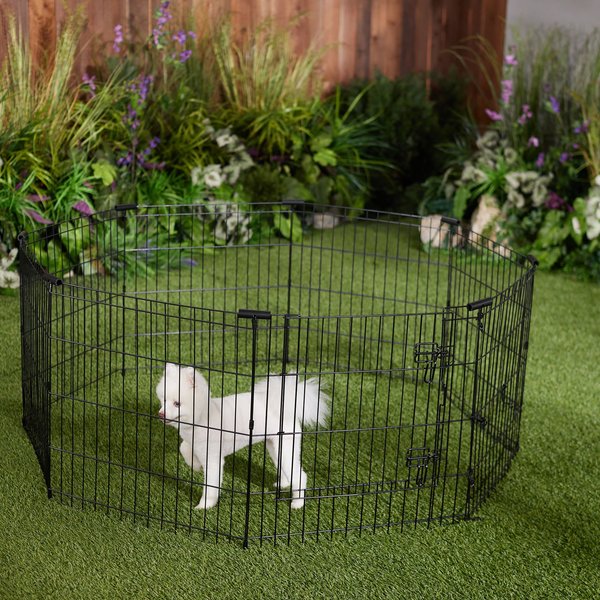 FRISCO Dog & Small Pet Wire Exercise Pen with StepThrough Door, Black