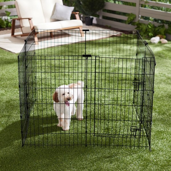 FRISCO Dog & Small Pet Wire Exercise Pen with StepThrough Door, Black