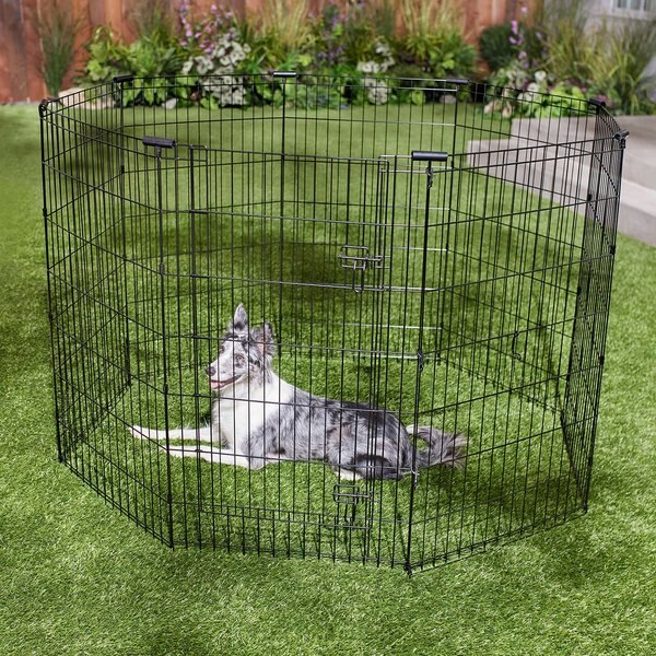 FRISCO Dog & Small Pet Wire Exercise Pen with StepThrough Door, Black