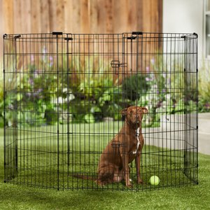 Frisco Dog & Small Pet Wire Exercise Pen with Step-Through Door, Black, 48-in