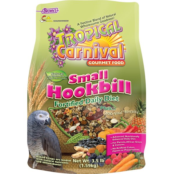 tropical carnival small hookbill