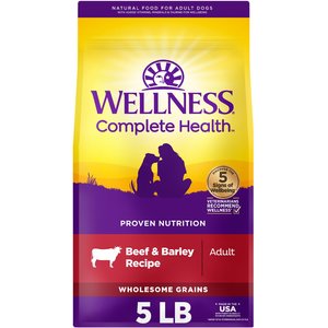 Wellness complete lamb and hot sale barley