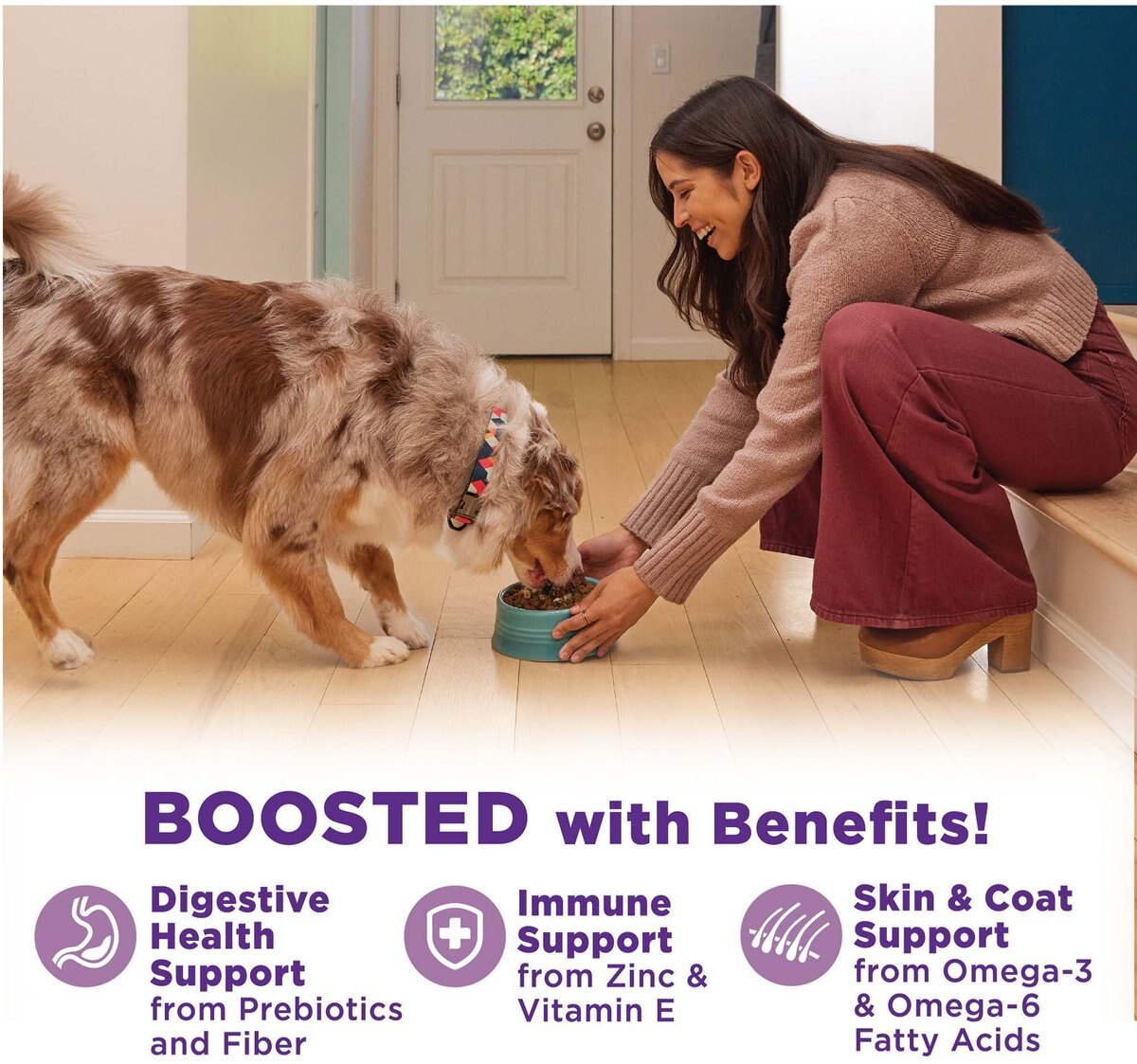 WELLNESS Bowl Boosters Hearty Toppers Chicken Wet Dog Toppers, 5.5oz