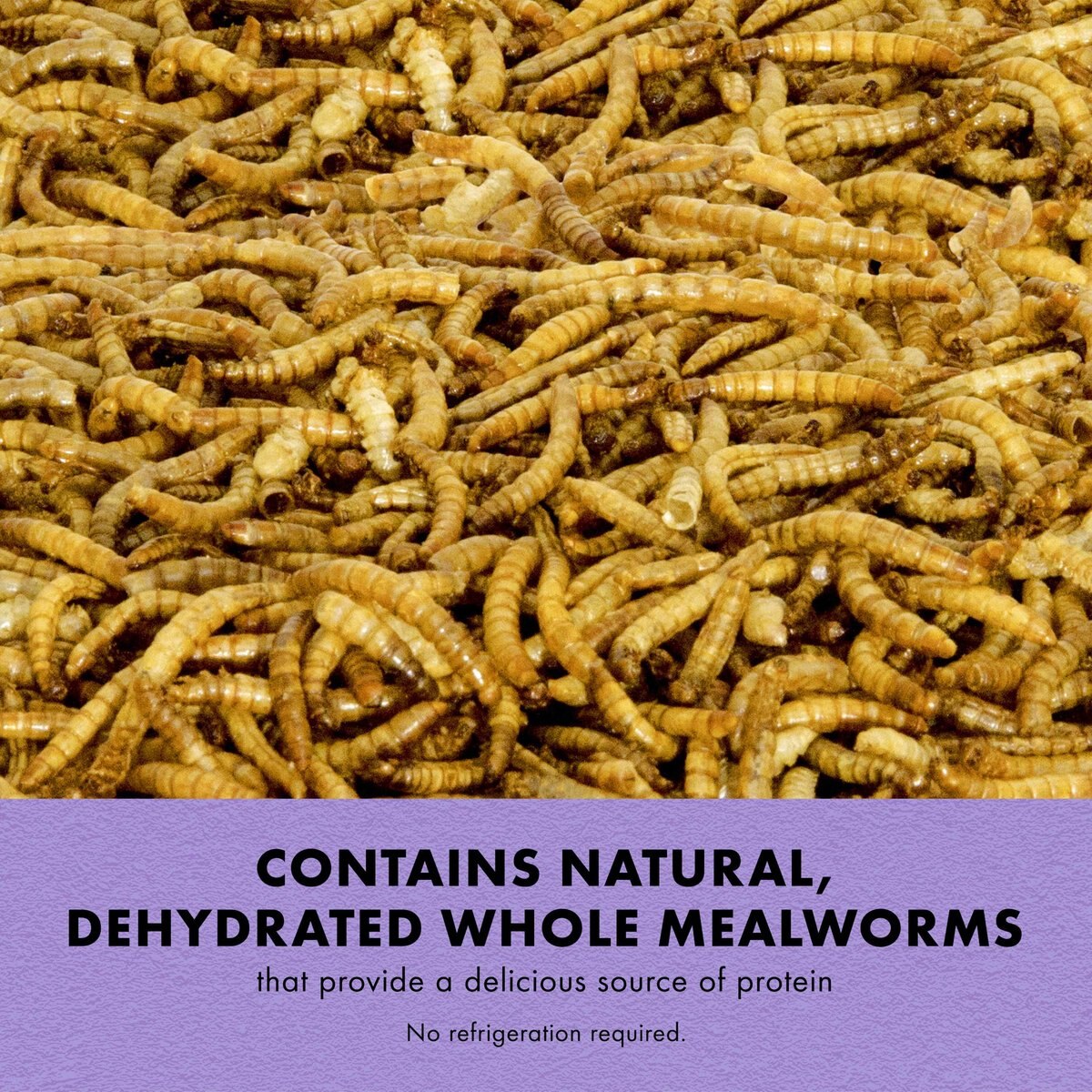 ZILLA Reptile Munchies Mealworms Lizard Food, 3.75oz bag