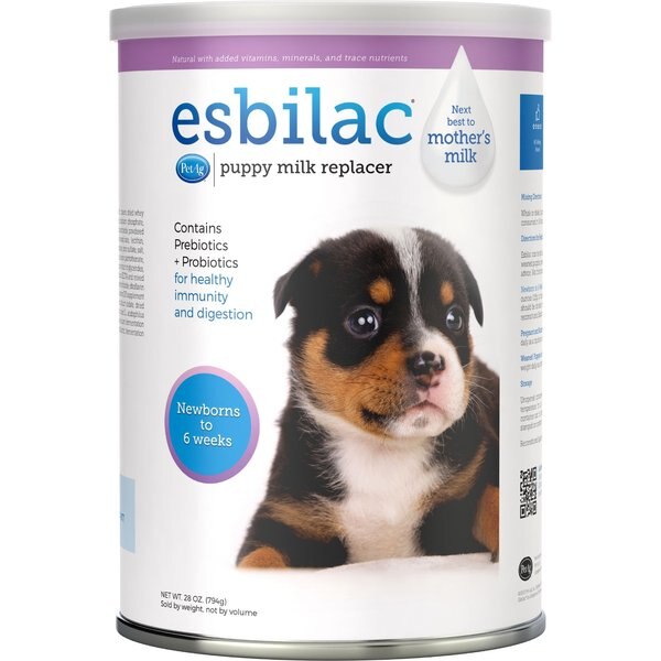 Best dog protein supplement best sale