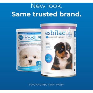 Puppy formula substitute best sale