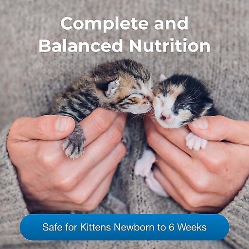 PetAg KMR Powder Milk Supplement for Kittens, 12-oz can