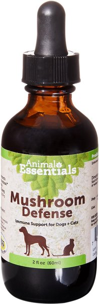 Animal Essentials Mushroom Defense Immune Support Dog & Cat Supplement, 1-oz bottle slide 1 of 5