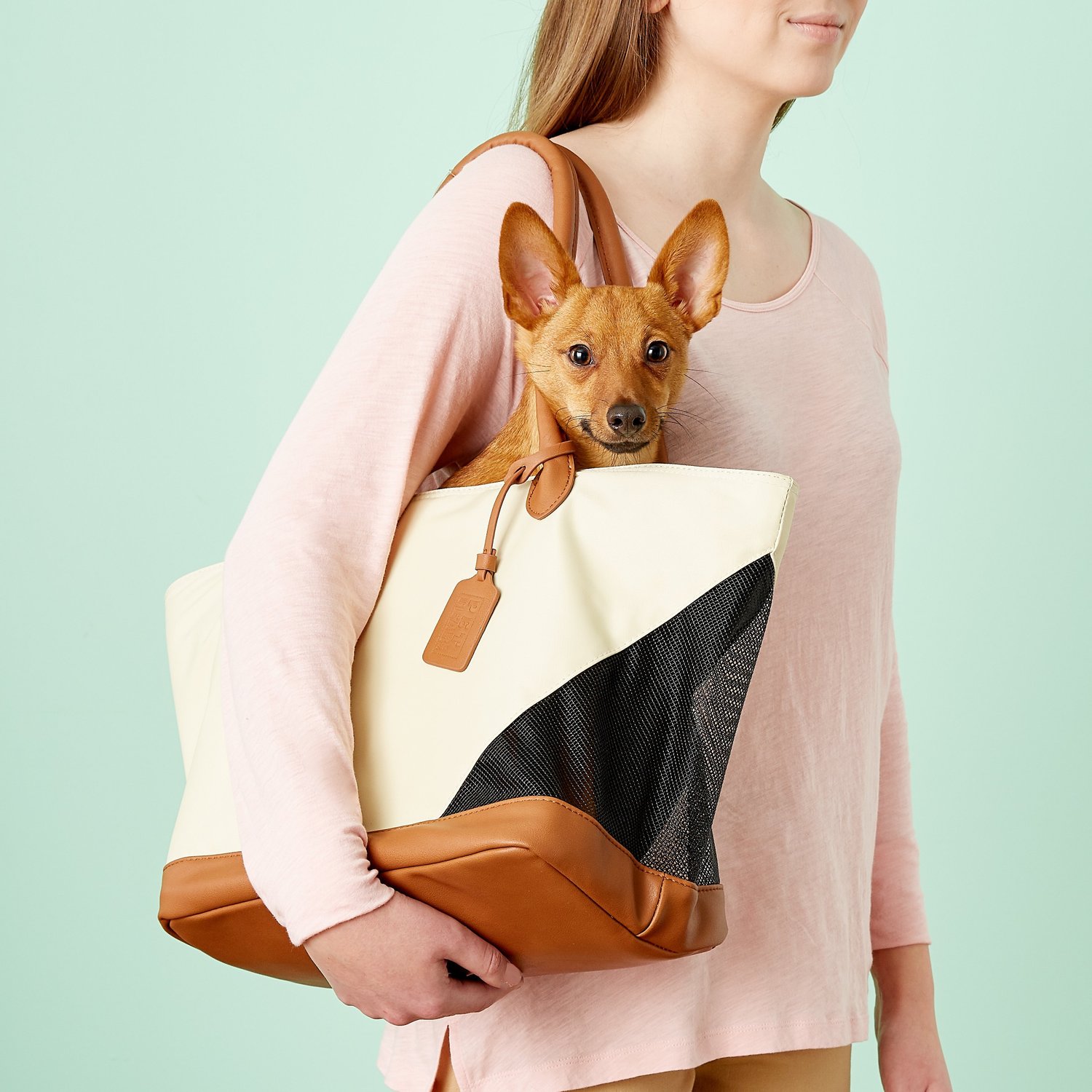 Puppy Handbag for Dog Mom Pet Carrier Bag Dog Lover Travel 