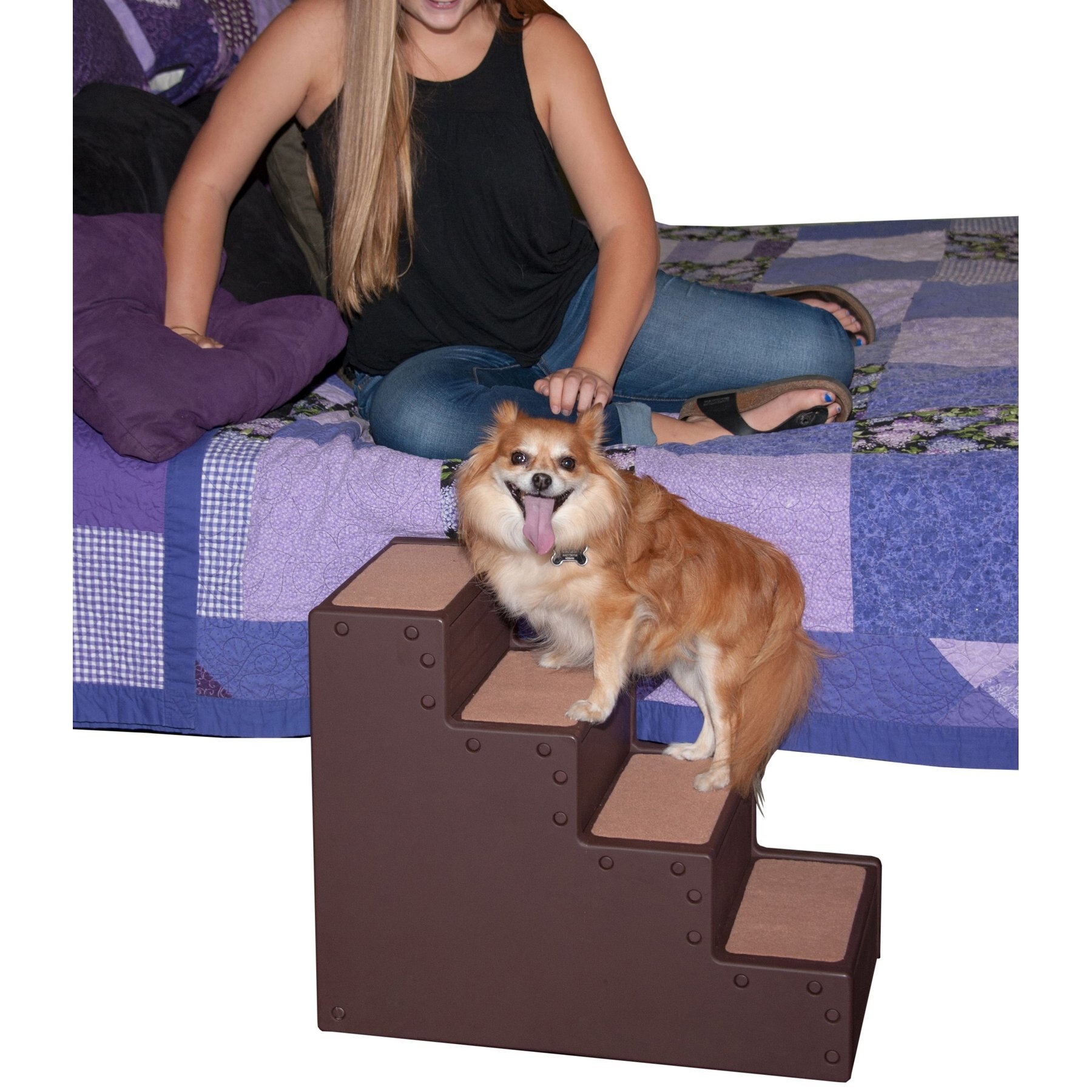 Pet gear hot sale 4 step stairs