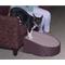 Show in main carousel: Pet Gear Easy Step Cat & Dog Stairs, Chocolate slide 5 of 8