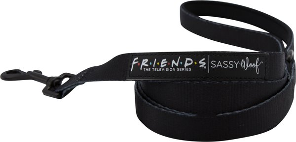 Sassy Woof Friends Dog Leash, 5-ft long, 4/5-in wide