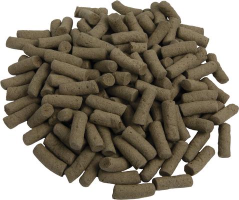 Show full view: Tetra ReptoMin Jumbo Floating Sticks Turtle & Amphibian Food, 10.23-oz jar slide 3 of 6