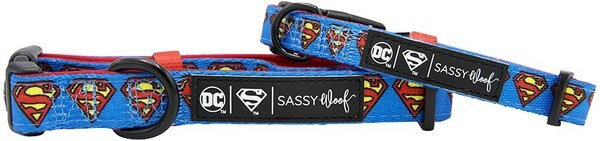 Sassy Woof Superman Dog Collar, Blue
