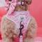 Show in main carousel: Sassy Woof Malibu Dog Harness, Pink, Small: 16 to 21-in chest slide 3 of 4