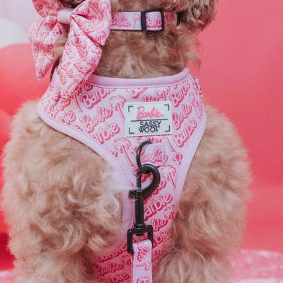 Show full view: Sassy Woof Malibu Dog Harness, Pink, Small: 16 to 21-in chest slide 3 of 4