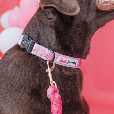 Show full view: Sassy Woof Malibu Dog Collar, Pink, Large: 16 to 26-in neck, .98-in wide slide 4 of 5