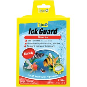 dog teeth cleaning cost sydney