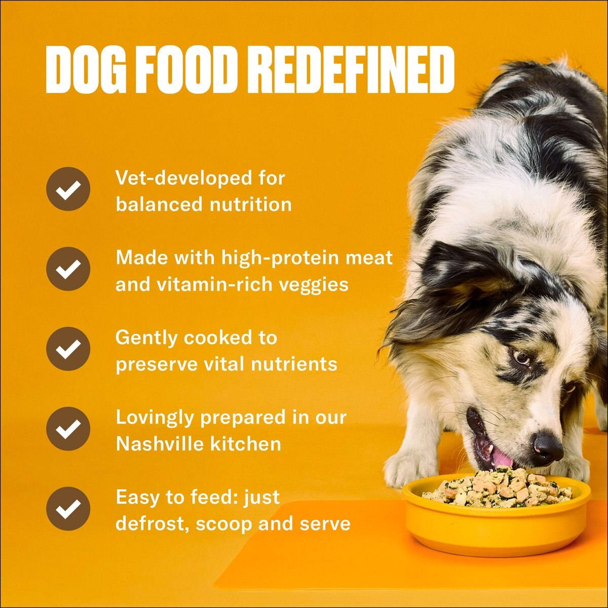 NOM NOM FreshlyMade Frozen GrainFree Chicken Cuisine Dog Food, 14oz