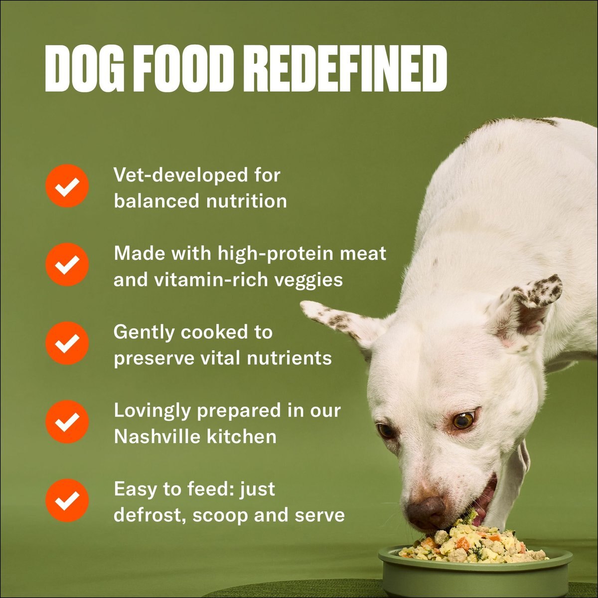 NOM NOM FreshlyMade Frozen Turkey Fare Dog Food, 14oz pouch, case of