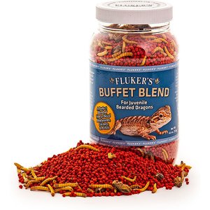 Fluker's Buffet Blend Juvenile Bearded Dragon Food, 4.4-oz jar
