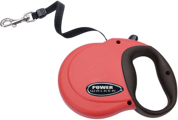 Chewy 2025 retractable leash