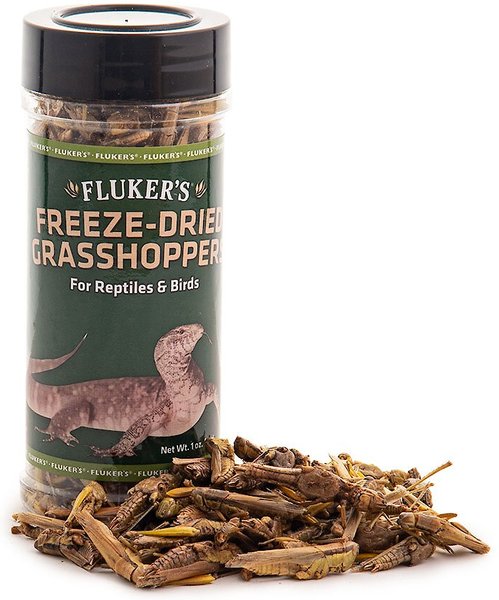 Fluker's Freeze-Dried Grasshoppers Reptile Treats, 1-oz jar slide 1 of 4