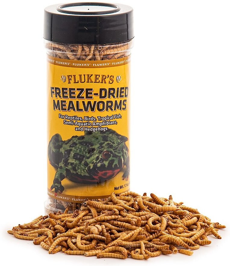 FLUKER'S FreezeDried Mealworm Treats, 1.7oz jar