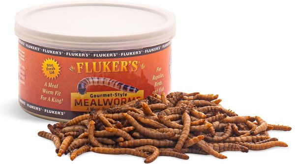 Fluker's Gourmet-Style Mealworms Reptile Food, 1.2-oz can slide 1 of 3