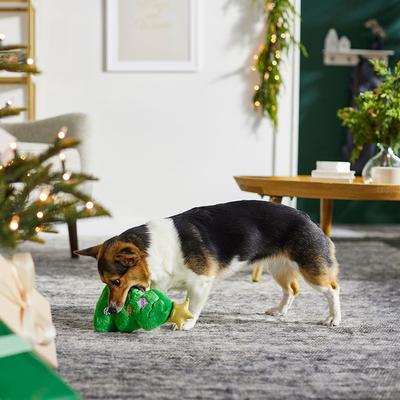 Show full view: Frisco Holiday Santa's Helpers, 3 count, X-Small/Small + Holiday Tree Thin Plush Squeaky Dog Toy, Medium slide 3 of 8