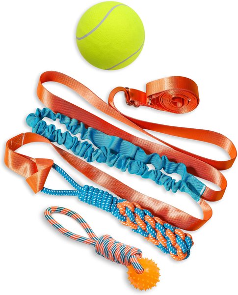 Dog Rope Toys Bungee Tug Toy For Dogs Bungee Tug Toy For Dogs Dog