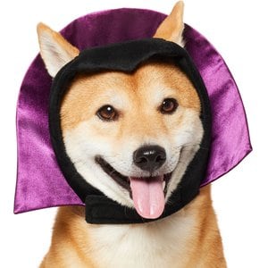 Frisco Vampire Dog & Cat Costume Accessory, Medium/Large