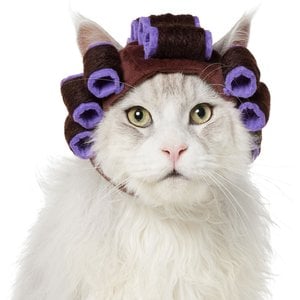 Frisco Beauty Parlor Dog & Cat Costume Accessory, X-Small/Small