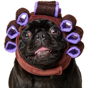 Frisco Beauty Parlor Dog & Cat Costume Accessory, Medium/Large