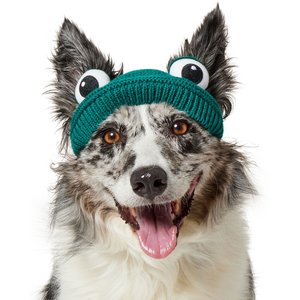 Frisco Knitted Frog Dog Hat