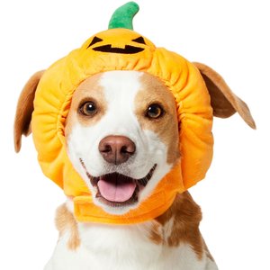 Frisco Pumpkin Dog & Cat Hat, Medium/Large