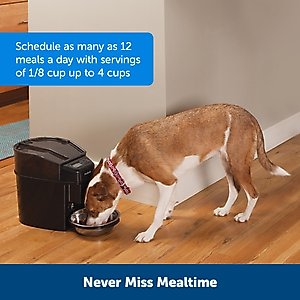 PetSafe Healthy Pet Simply Feed Programmable Dog & Cat Feeder, 24-cup