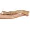 Show in main carousel: Bones & Chews Made in USA Deer Antler Dog Chew, 9.5+ in, XX-Large slide 3 of 10