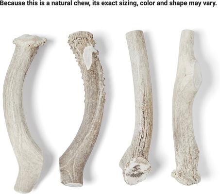 Show full view: Bones & Chews Made in USA Deer Antler Dog Chew, 9.5+ in, XX-Large slide 4 of 10