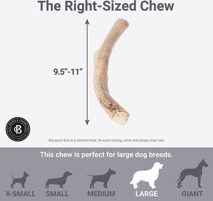 Show full view: Bones & Chews Made in USA Deer Antler Dog Chew, 9.5+ in, XX-Large slide 6 of 10